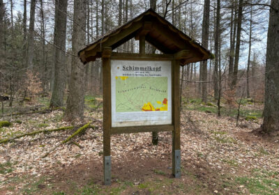 Schimmelkopf