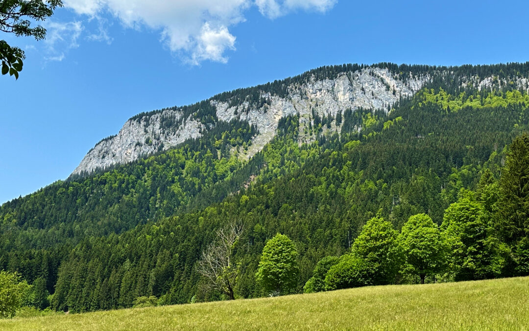 Großer Pölven