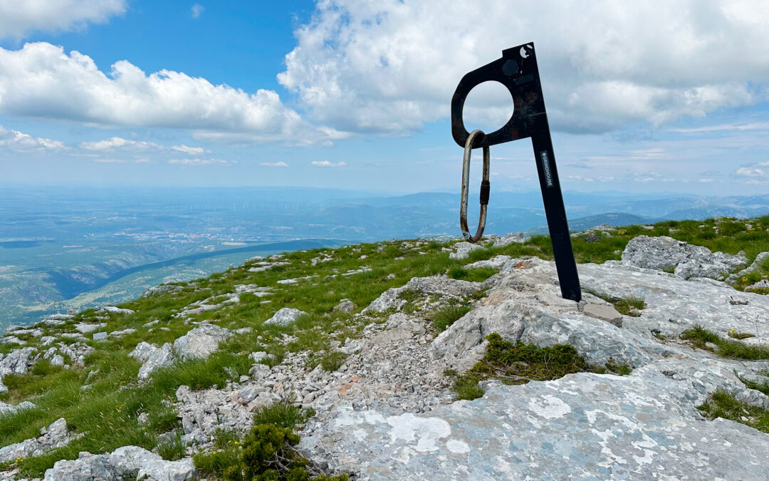 Ošjak