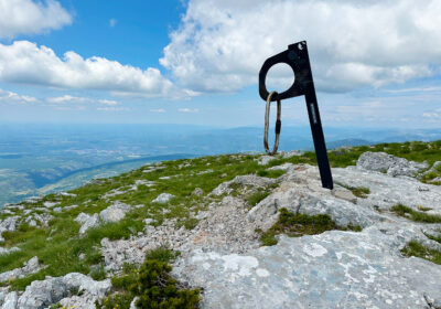 Ošjak