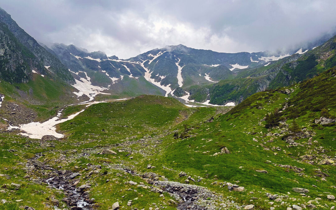 Viștea Mare