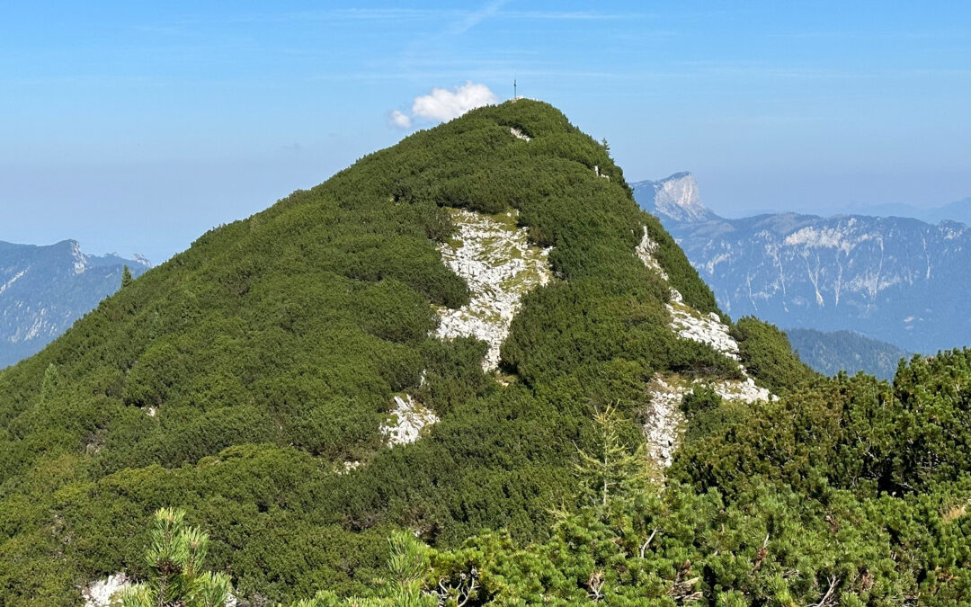 Edelweißlahnerkopf