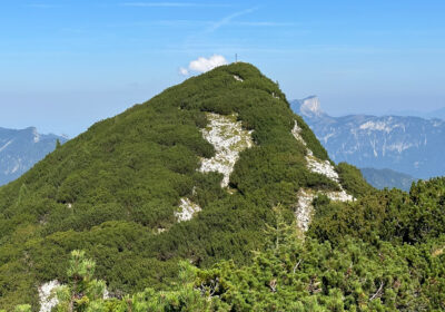 Edelweißlahnerkopf