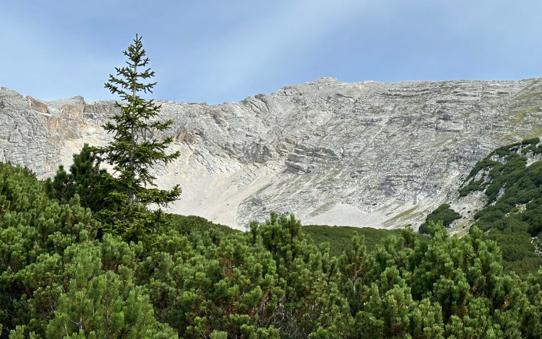 Pleisenspitze