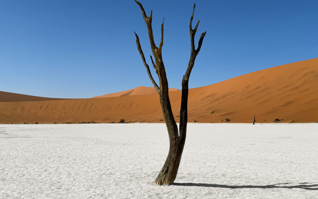 Deadvlei