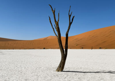 Deadvlei