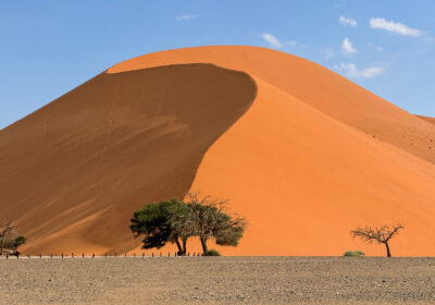 Dune 45