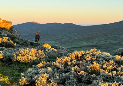 Lesotho