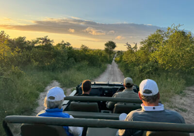 Safari Parks