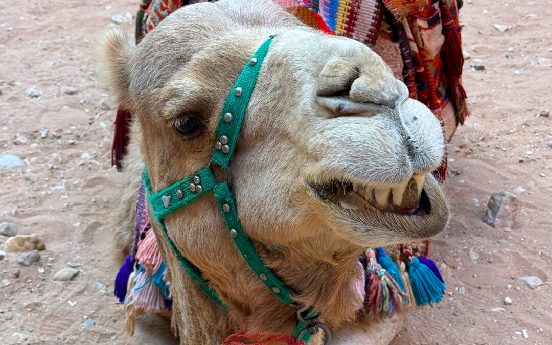 Jordanien