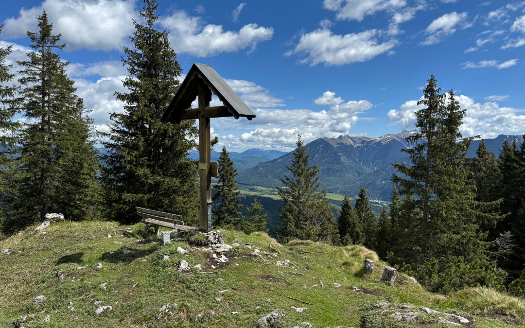 Grünkopf