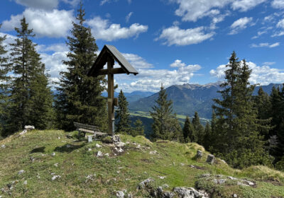 Grünkopf