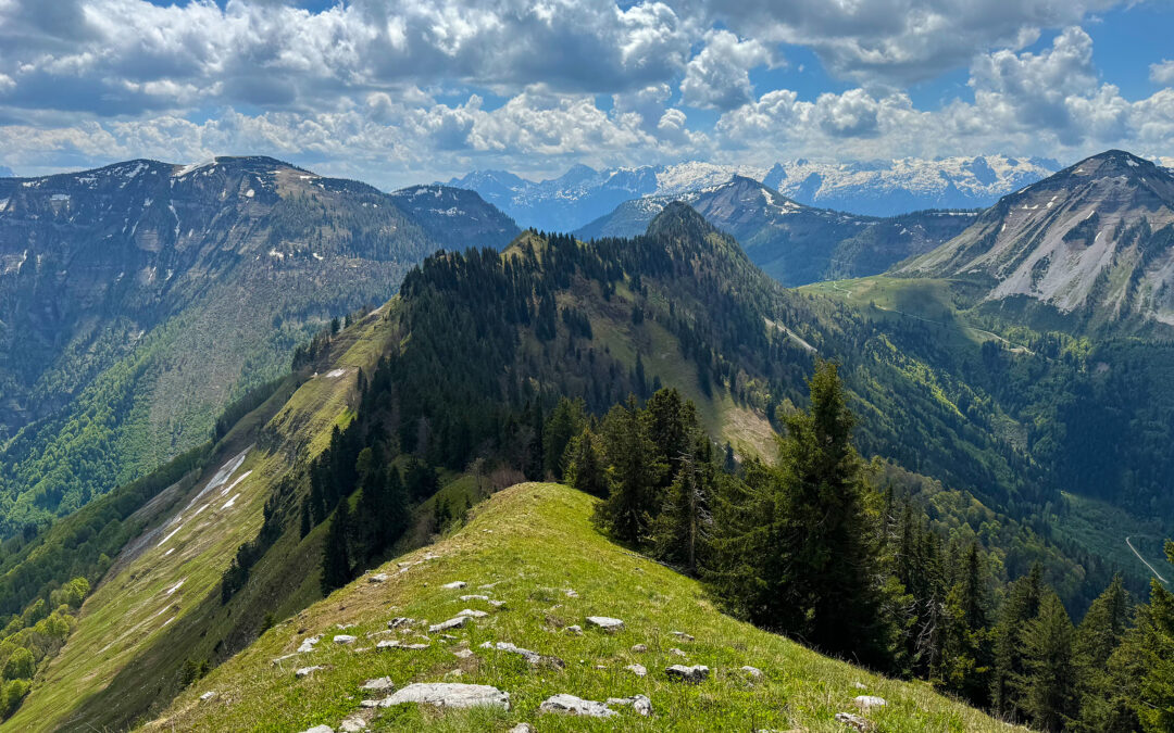 Hochthron