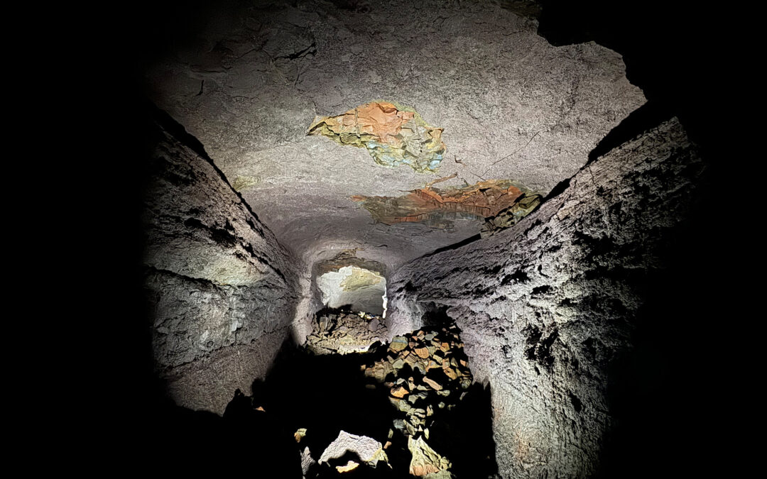 Viðgelmir – The Cave
