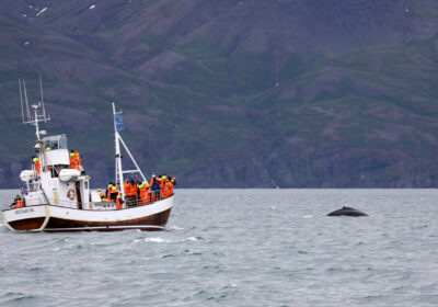 Húsavík