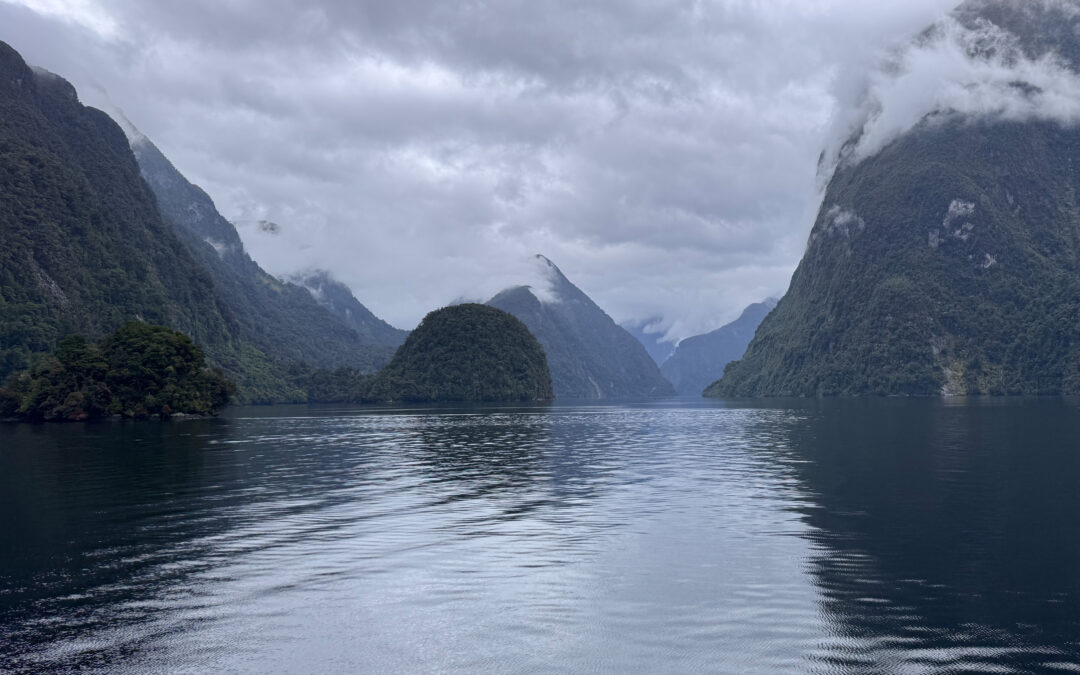 Doubtful Sounds / Patea