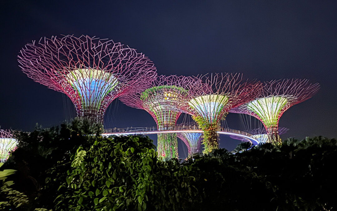 Gardens by the bay