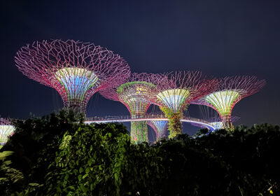 Gardens by the bay