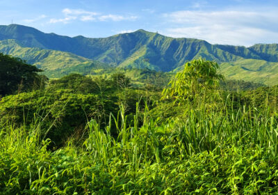 Bula – Fidschi!