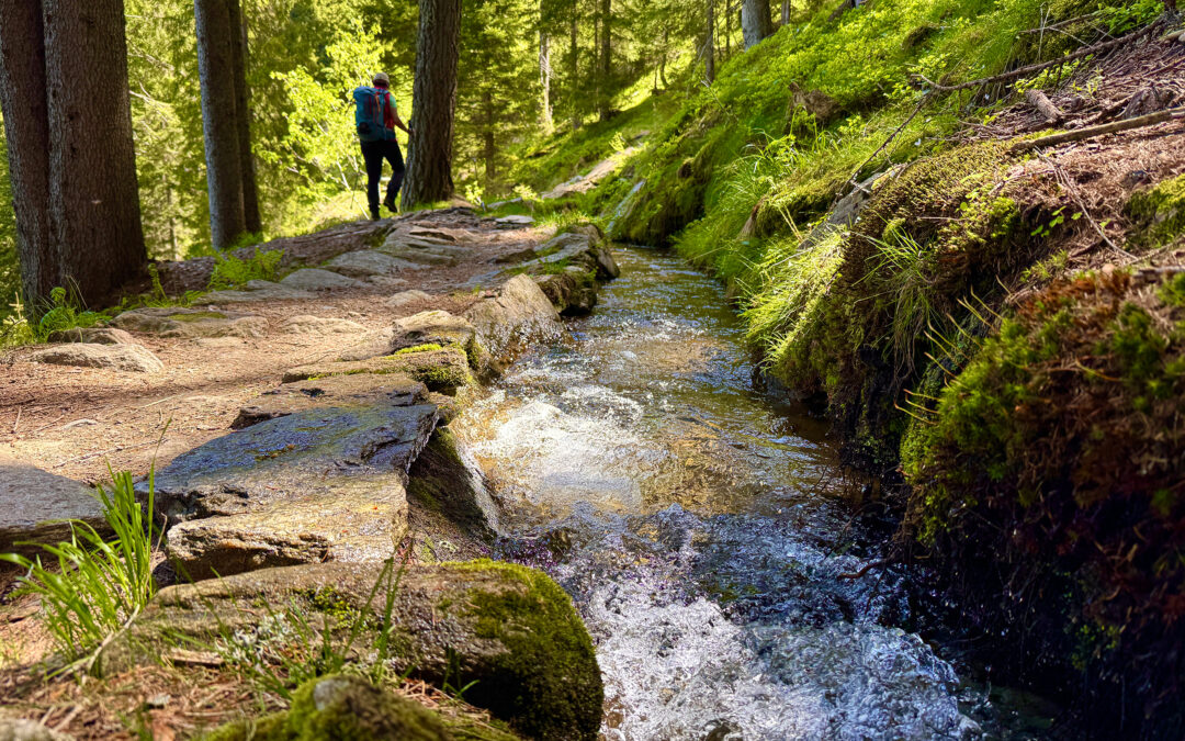 Matatzer/Ulfaser Waalweg