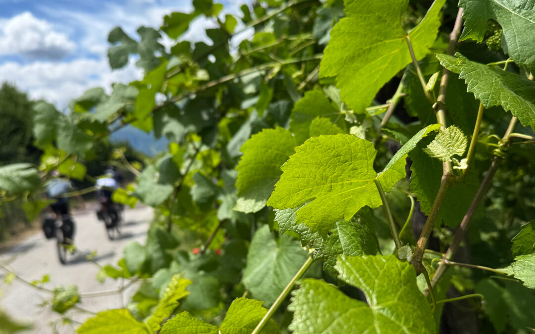Vinschger Radweg