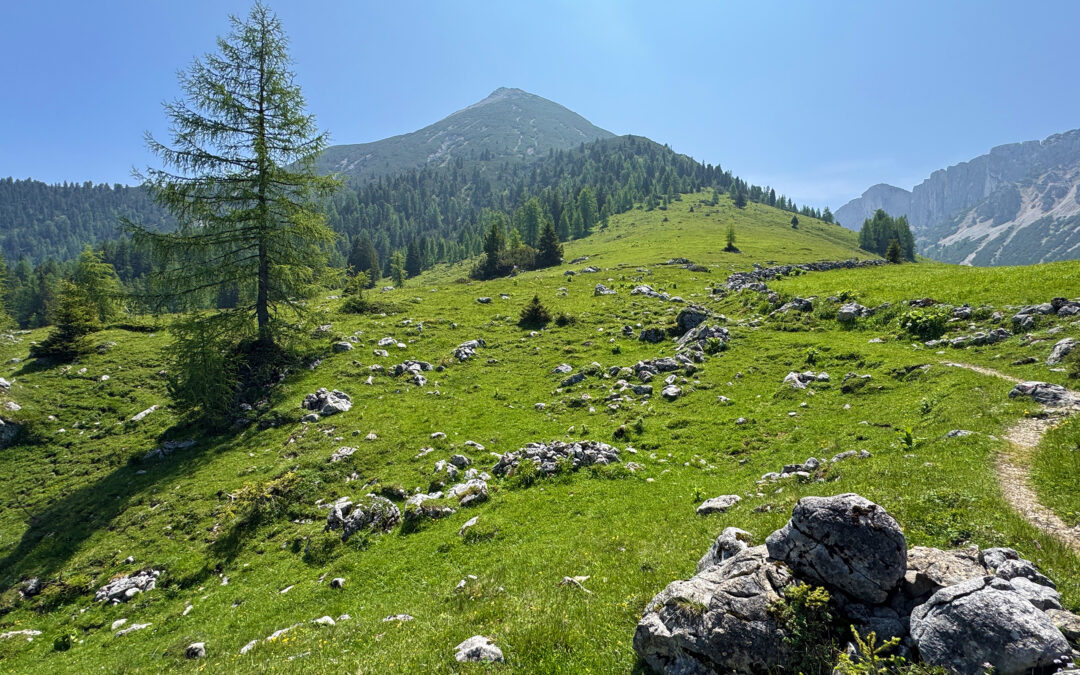 Kotalmjoch