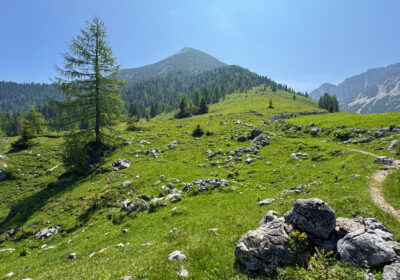 Kotalmjoch