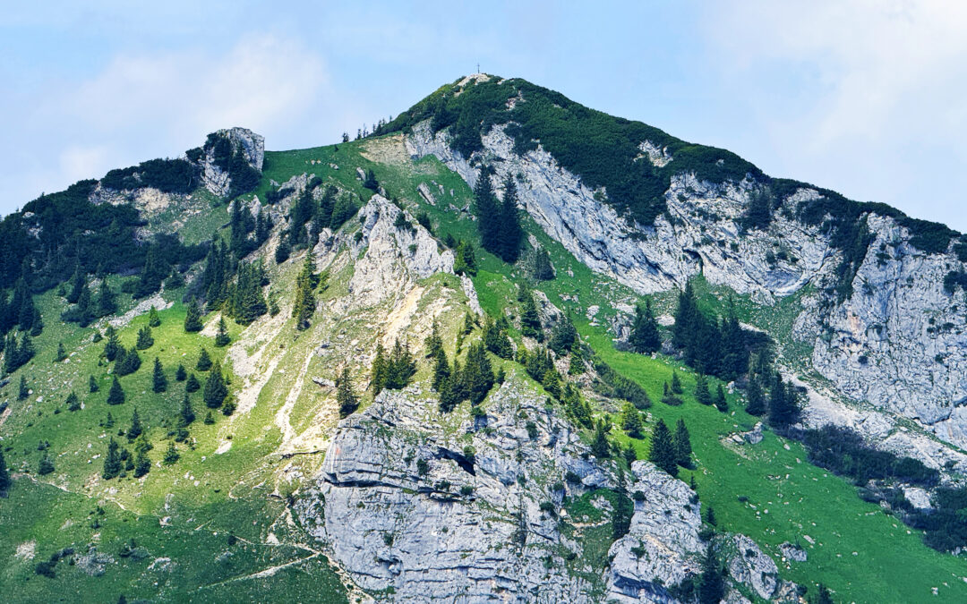 Soienwand