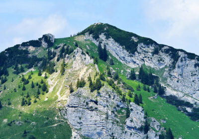 Soienwand