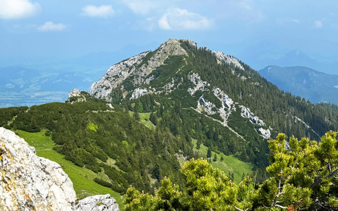 Wildalpjoch