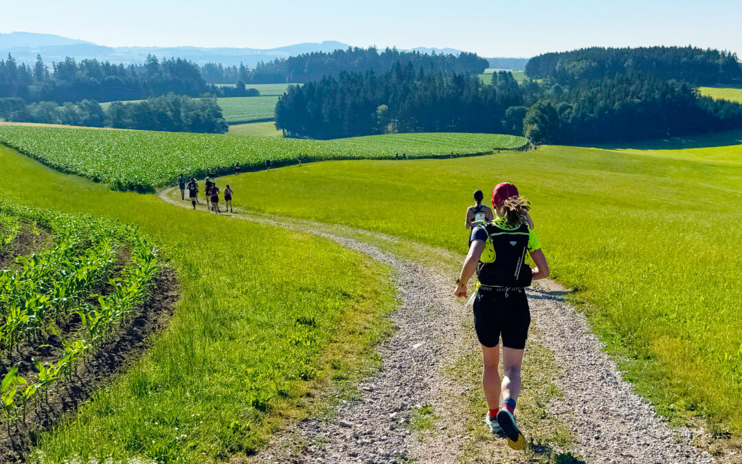 6. Sauwald Trail