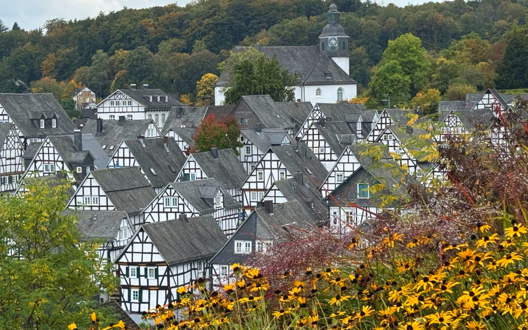 Freudenberg