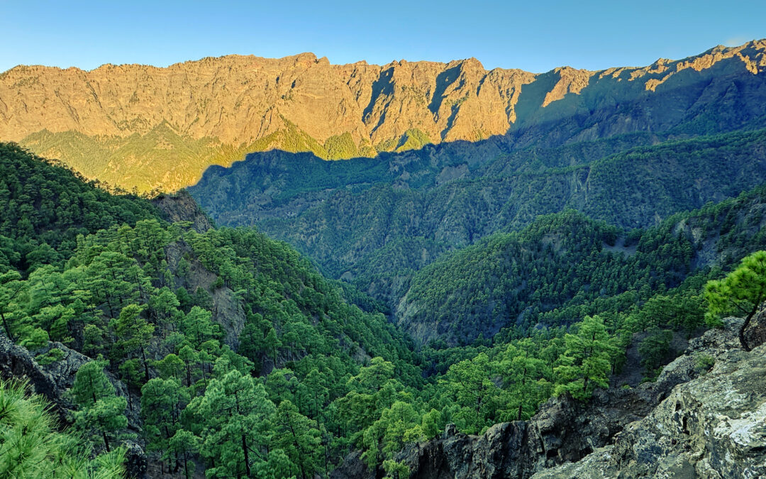 Roque de los Muchachos