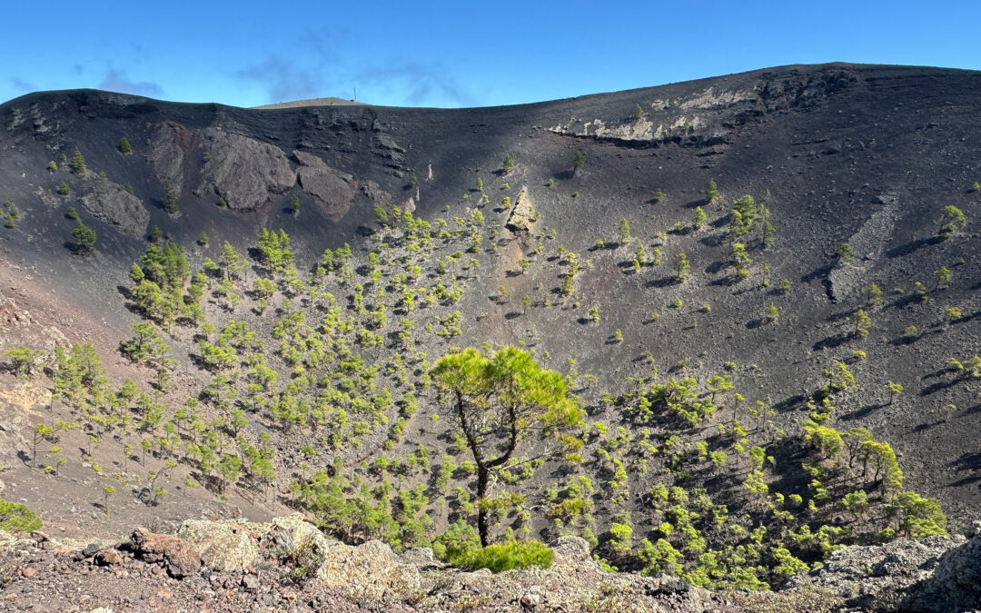 Volcán de San Antonio