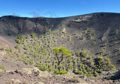 Volcán de San Antonio