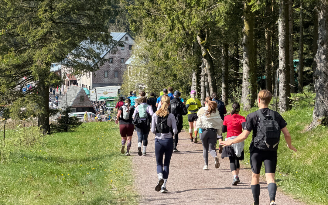53. GutsMuths Rennsteiglauf, TEAG Halbmarathon 2026
