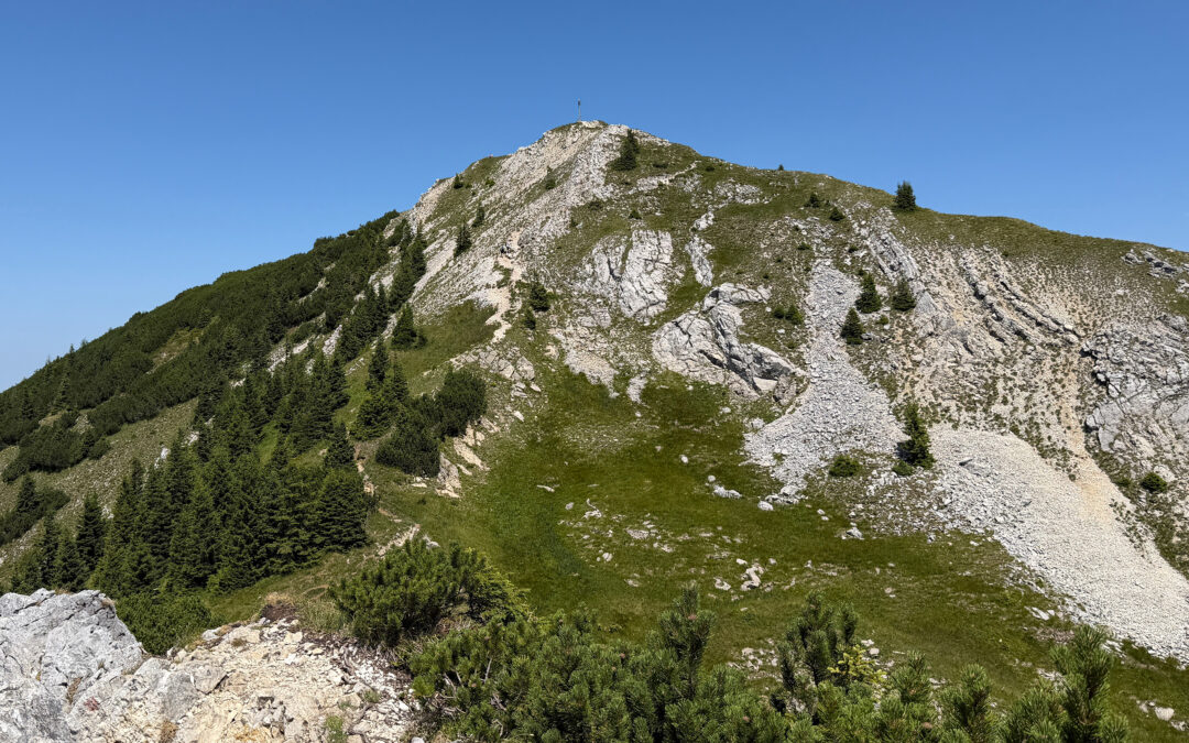 Scheinbergspitze