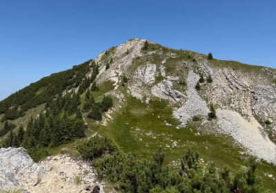 Scheinbergspitze