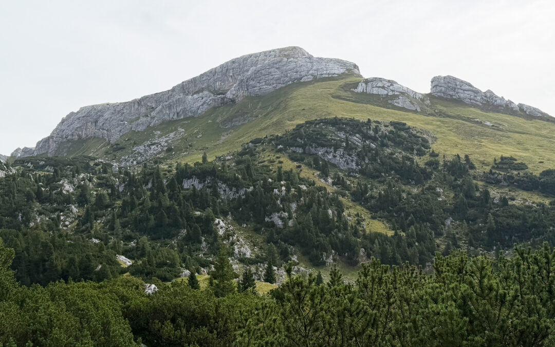 Haidachstellwand