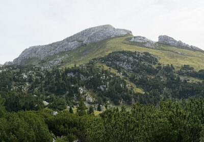 Haidachstellwand