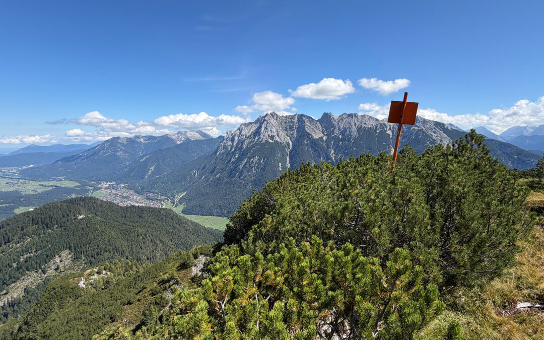 Riedkopf
