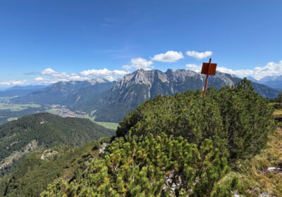 Riedkopf