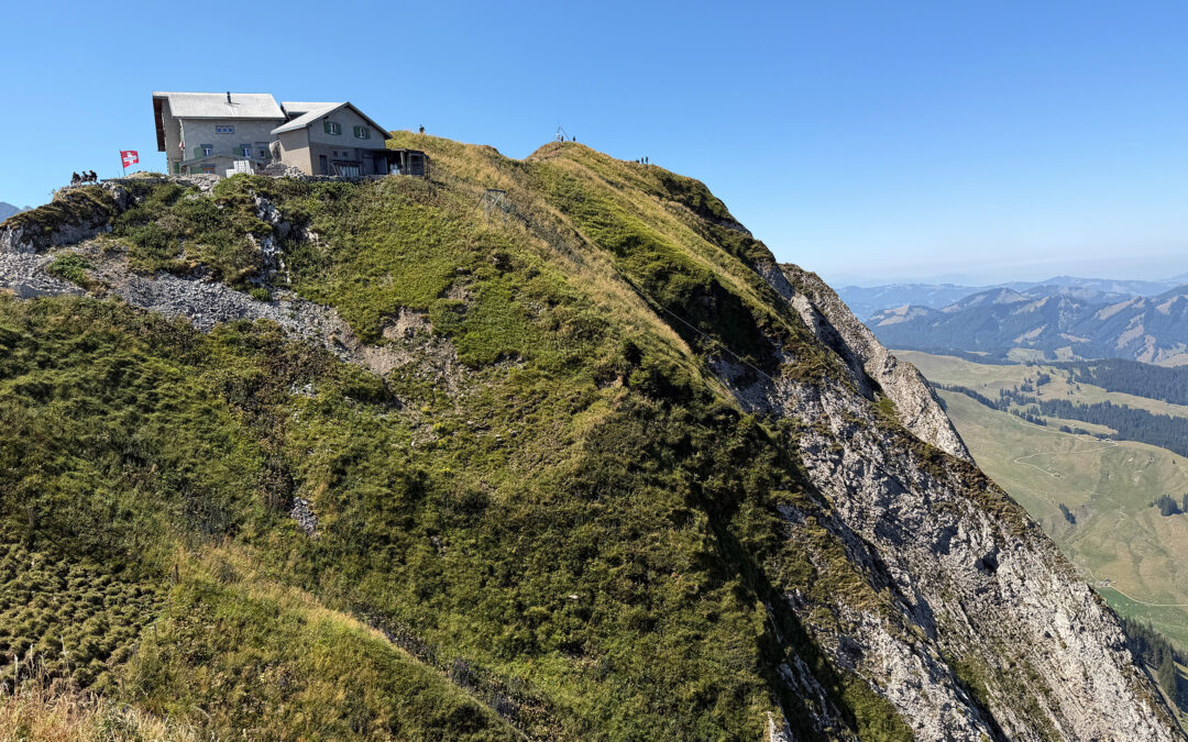 Schäfler