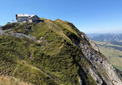 Schäfler