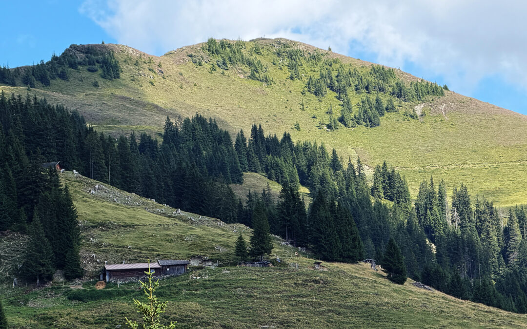 Schönwieskopf