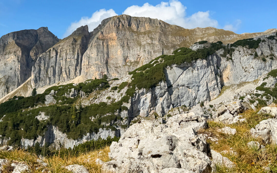 Dalfalzer Joch