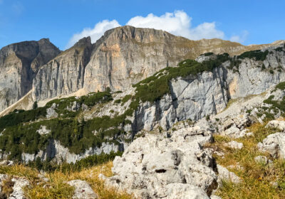 Dalfalzer Joch