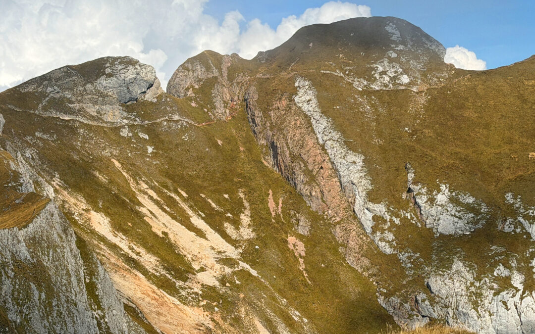 Streichkopf